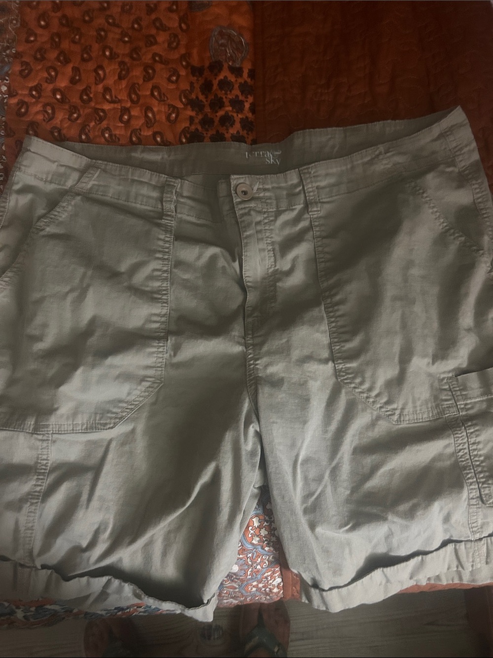 Terra & Sky Light Gray Casual Shorts